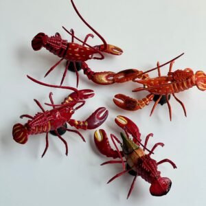 Animal Pet Magnets