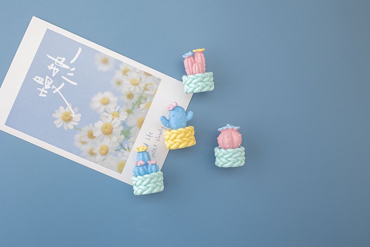 wholesale cactus and succulent fridge magnets, magnetic stickers, personalized creative iron magnets, 3d full-stereoscopic magnetic stickers, can be used as decorations factory direct
