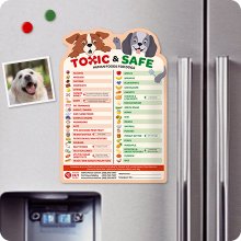 wholesale ebpp magnetic list of foods dogs can eat - dog feeding chart fridge magnet - foods dogs shouldnt eat chart decorative magnets - dog safety emergency numbers magnet - new puppy essentials 9.75