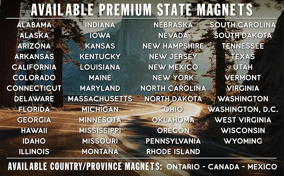wholesale florida premium state magnet by classic magnets, 3.4