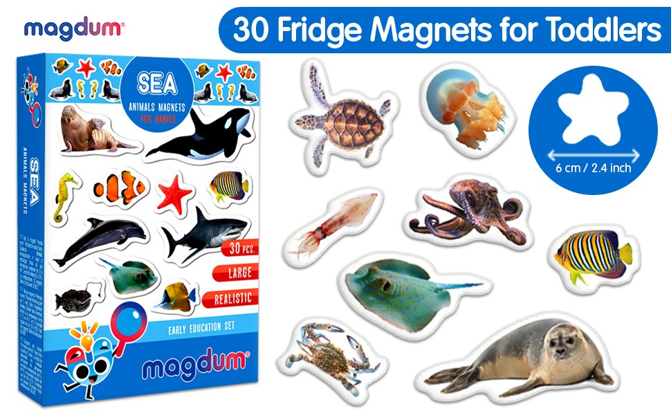 wholesale fridge magnets for toddlers - 30 sea photo kids magnets for fridge - toddler magnets for refrigerator - magnetic animals - fridge magnets for kids - animal magnets - toddler fridge magnets factory & supplier oem