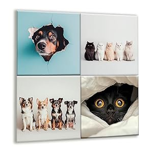 wholesale set of 12 custom photo magnets, personalized gifts, holiday keepsakes, personalized refrigerator magnets, birthday favors, baby shower favors, wedding favors, branding, newborn keepsakes factory & supplier oem