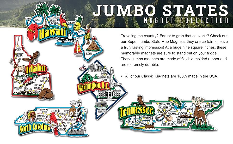 wholesale florida jumbo state magnet by classic magnets, 4