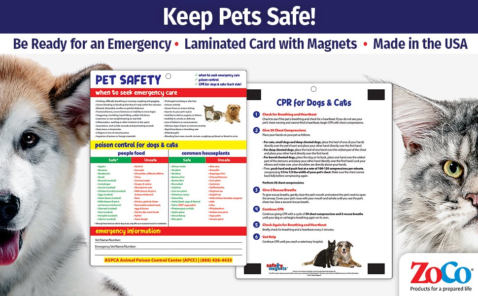 wholesale safe and toxic foods and plants for dogs and cats fridge magnet — 5
