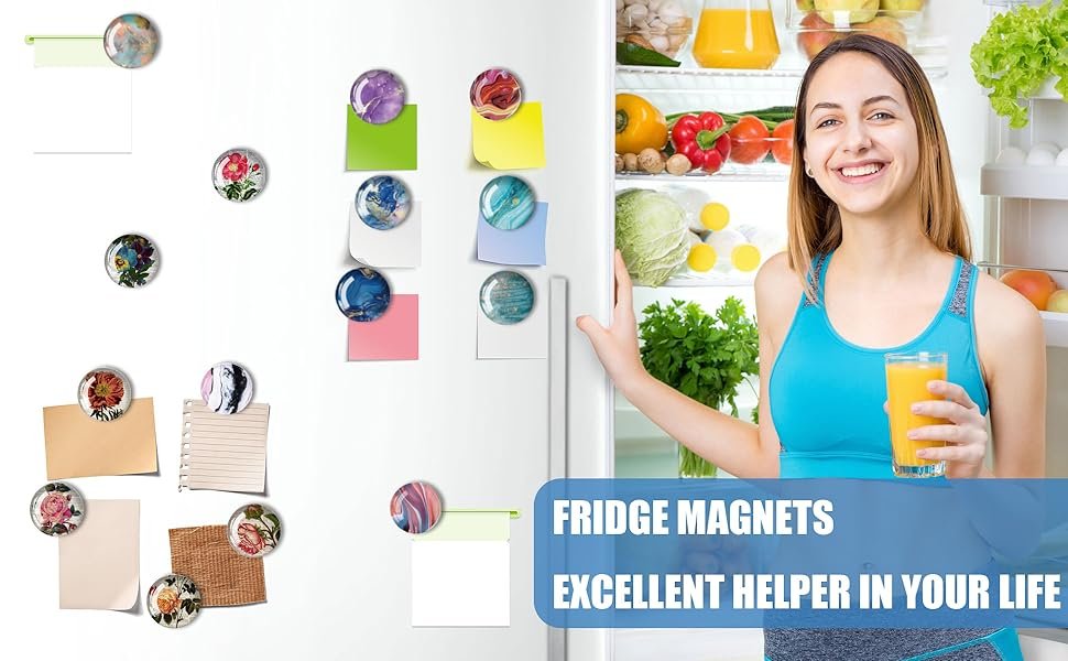 wholesale strong glass refrigerator stickers,12pcs magnets for fridge,funny fridge magnet shape,cute small tiny magnet for kitchen whiteboard door decorative (llama refrigerator stickers) factory & supplier oem