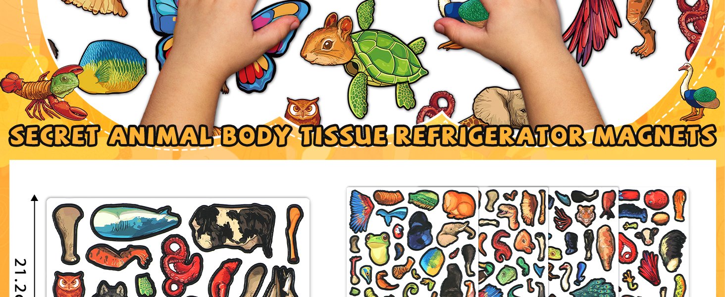 wholesale 134pcs cryptid construction kit funny animals fridge magnets for kid creature creation magnetic toys for toddlers educational monster refrigerator magnets for whiteboard baby children gift learning factory & supplier oem