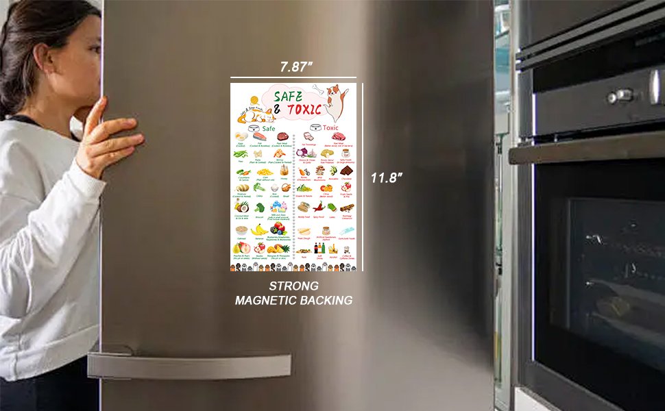 wholesale magnetic safe foods guide for dogs and cats,dog feeding chart fridge magnet,foods dogs shouldnt eat chart decorative magnets,dog safety emergency numbers magnet-11.8