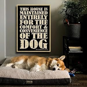 wholesale sjt enterprises, inc. in dog beers i've only had one - wood fridge kitchen magnet - great for refrigerator, locker or metal cabinet - made in usa - measures 2.5