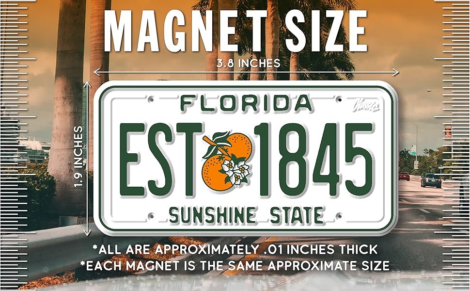 wholesale texas state license plate magnet by classic magnets, 1.9