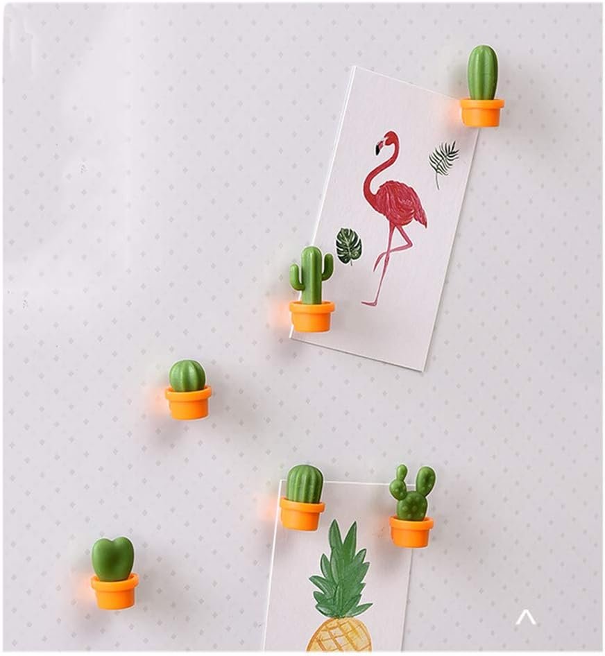 wholesale decorative refrigerator magnets, perfect fridge magnets for house office personal use (12pcs cactus) factory & supplier oem