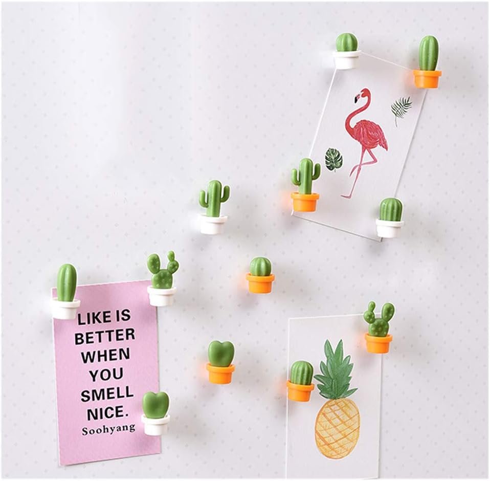 wholesale decorative refrigerator magnets, perfect fridge magnets for house office personal use (12pcs cactus) factory & supplier oem