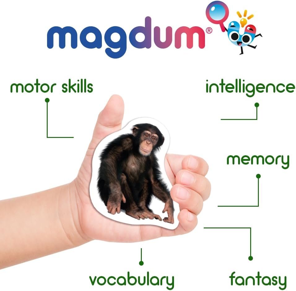 wholesale 110 fridge magnet for toddlers in gift tin box kids magnets for fridge - realistic magnetic animals for refrigerator - safe educational materials for baby: zoo, farm, fruits, vegetables, transport factory & supplier oem