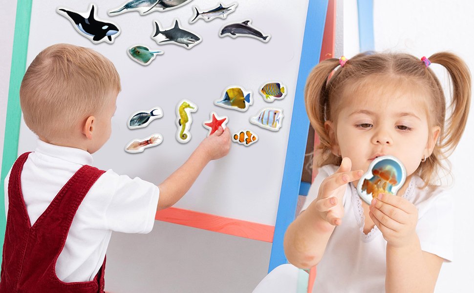 wholesale fridge magnets for toddlers - 30 sea photo kids magnets for fridge - toddler magnets for refrigerator - magnetic animals - fridge magnets for kids - animal magnets - toddler fridge magnets factory & supplier oem
