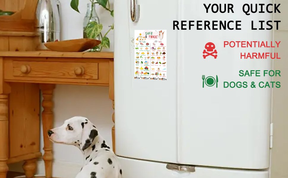 wholesale magnetic safe foods guide for dogs and cats,dog feeding chart fridge magnet,foods dogs shouldnt eat chart decorative magnets,dog safety emergency numbers magnet-11.8