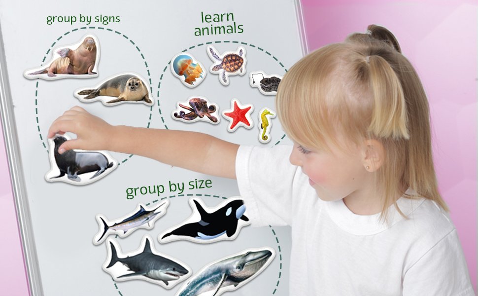 wholesale fridge magnets for toddlers - 30 sea photo kids magnets for fridge - toddler magnets for refrigerator - magnetic animals - fridge magnets for kids - animal magnets - toddler fridge magnets factory & supplier oem