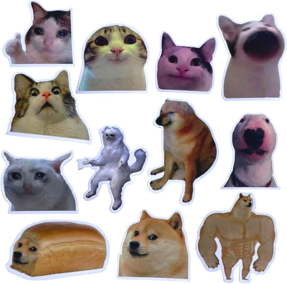 wholesale funny magnets, fun cute cool meme phrase quote word magnet set for adults; applicable on fridge, refrigerator & car with jesus i saw that, it’s fine cat & dog gifts (b) factory & supplier oem