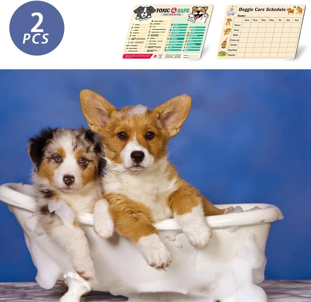 wholesale magnetic list of safe and toxic foods for dogs,pet food feeding guide fridge magnet,foods dogs shouldnt eat chart,puppy weekly care sheet magnet,new puppy shopping list,new puppy essentials 2pack factory & supplier oem