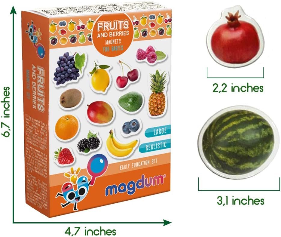 wholesale photo fruits&berries - magnets for kitchen -real large fridge magnets for toddlers- magnetic educational toys baby 3 year old baby - learning magnets for kids- kid magnets - development toys factory & supplier oem