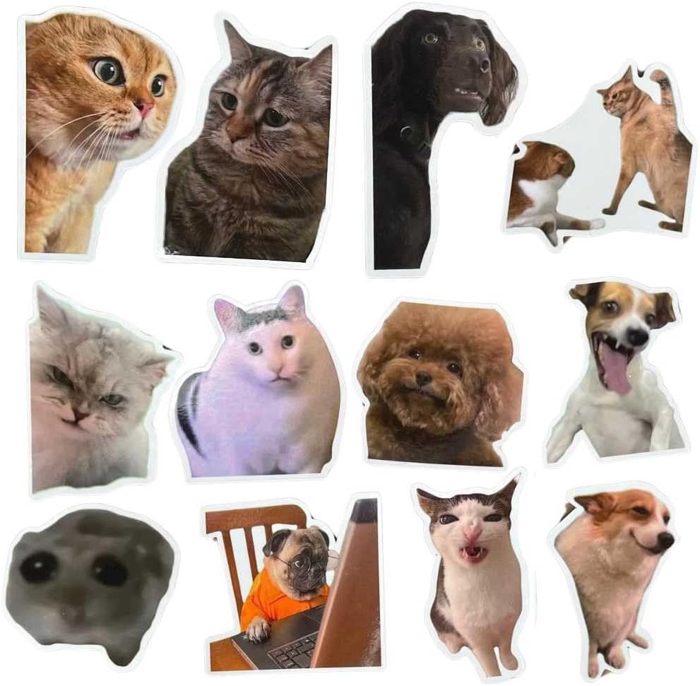wholesale yj premiums 12pc funny magnets meme animal magnetic magnet for refrigerator fridge adults work school locker office car bumper decal game r kitchen cute cool weird fun novelty funky gag quirky gifts factory & supplier oem
