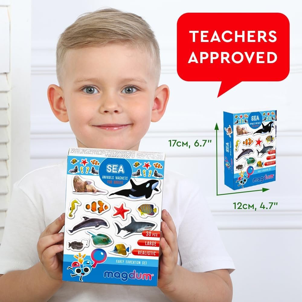 wholesale fridge magnets for toddlers - 30 sea photo kids magnets for fridge - toddler magnets for refrigerator - magnetic animals - fridge magnets for kids - animal magnets - toddler fridge magnets factory & supplier oem