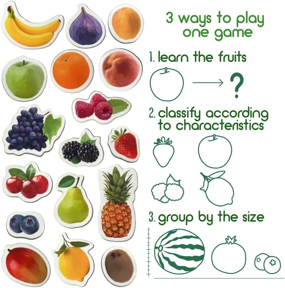 wholesale photo fruits&berries - magnets for kitchen -real large fridge magnets for toddlers- magnetic educational toys baby 3 year old baby - learning magnets for kids- kid magnets - development toys factory & supplier oem