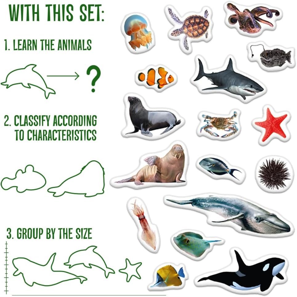wholesale fridge magnets for toddlers - 30 sea photo kids magnets for fridge - toddler magnets for refrigerator - magnetic animals - fridge magnets for kids - animal magnets - toddler fridge magnets factory & supplier oem