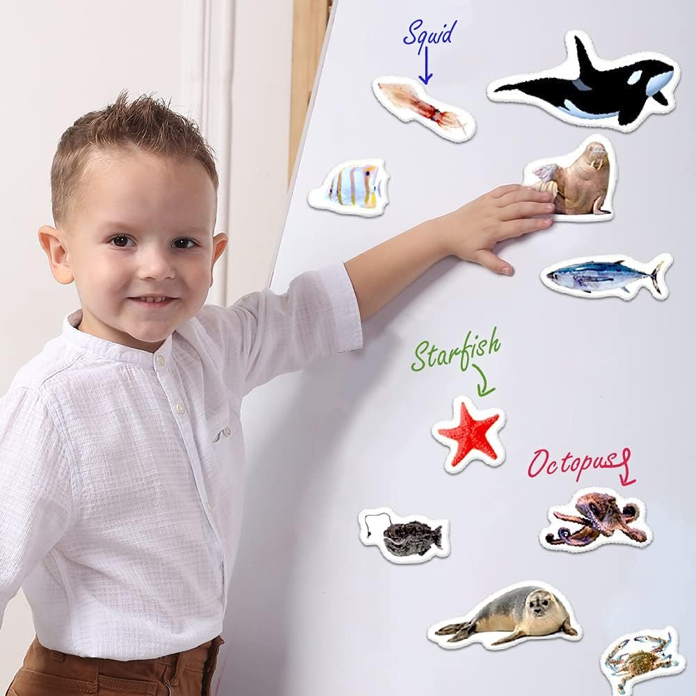 wholesale fridge magnets for toddlers - 30 sea photo kids magnets for fridge - toddler magnets for refrigerator - magnetic animals - fridge magnets for kids - animal magnets - toddler fridge magnets factory & supplier oem