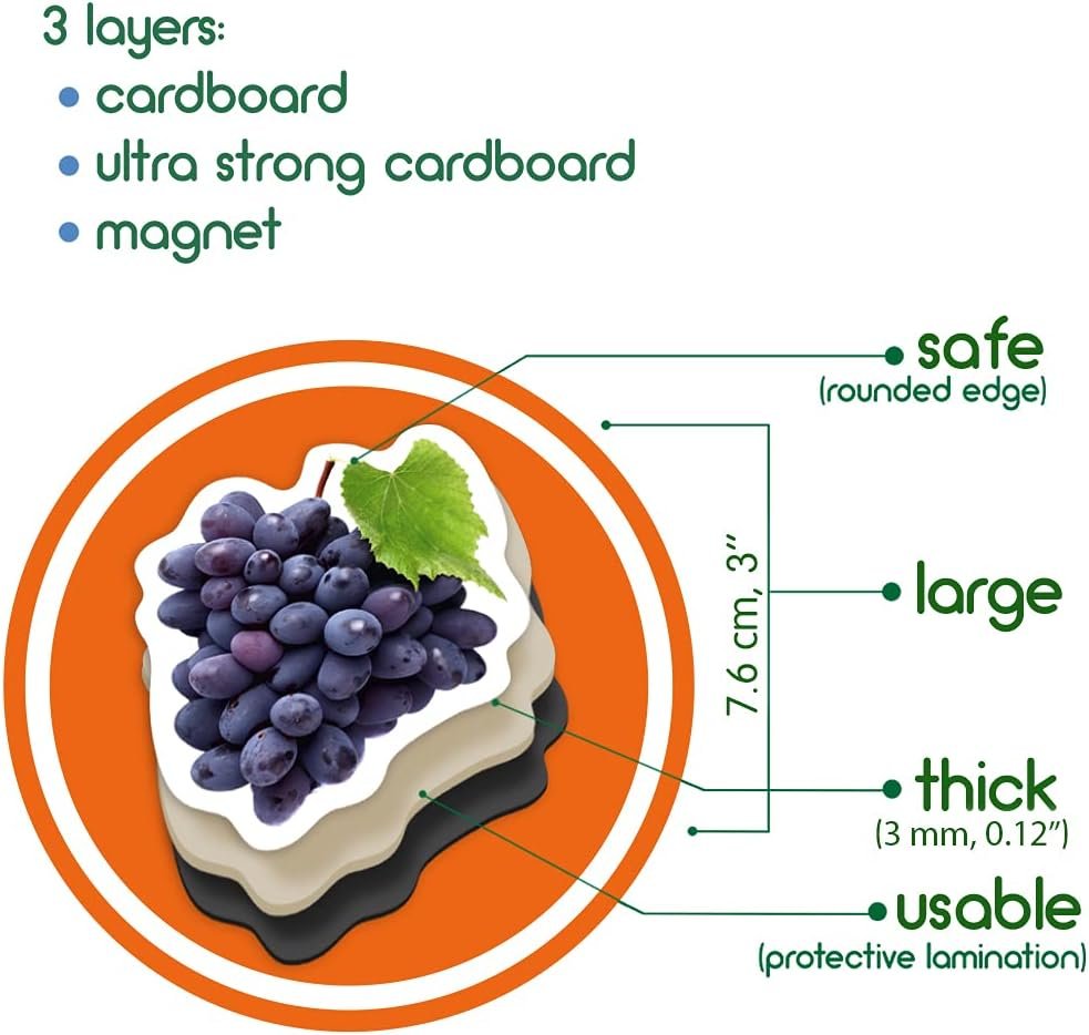wholesale photo fruits&berries - magnets for kitchen -real large fridge magnets for toddlers- magnetic educational toys baby 3 year old baby - learning magnets for kids- kid magnets - development toys factory & supplier oem