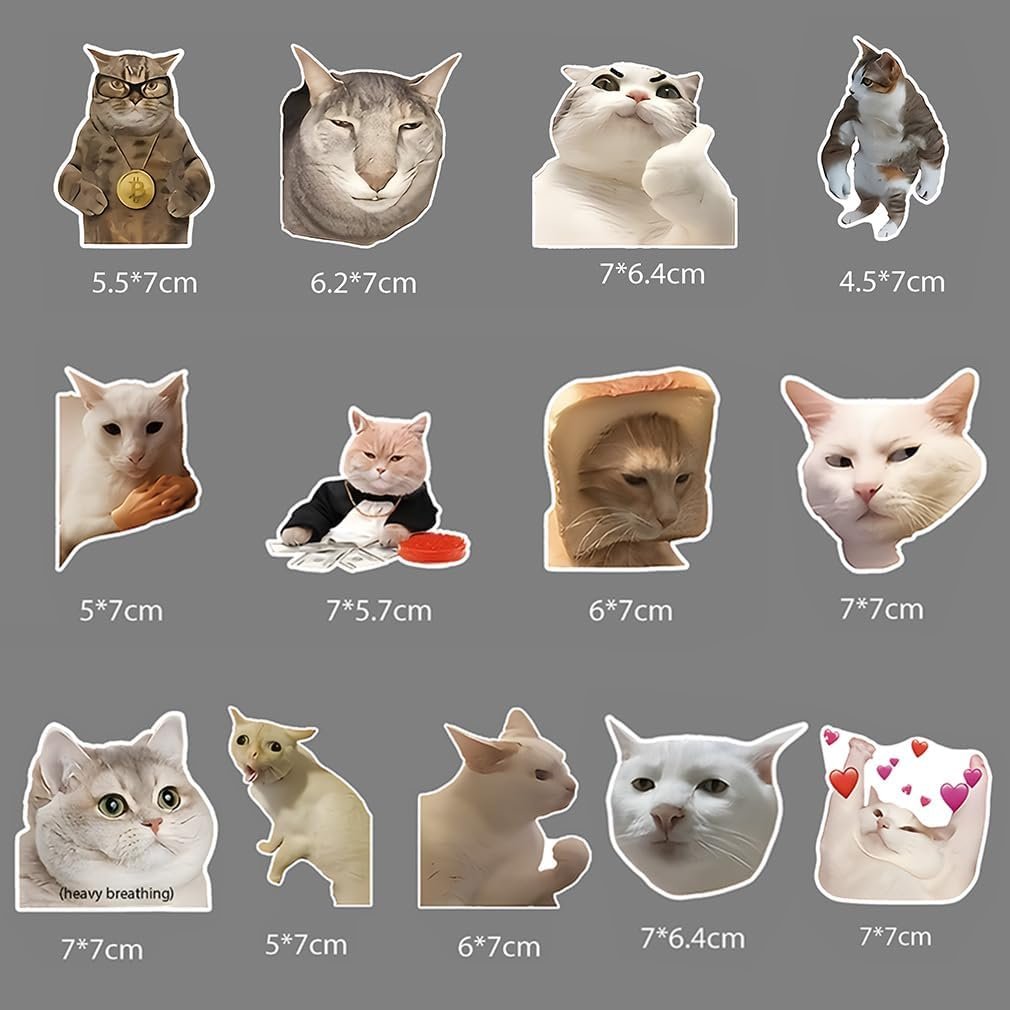 wholesale lovely funny fridge magnets cat meme fasteners on home& kitchen; applicable on refrigerator, car, office cabinets, dishwasher and whiteboard the most interesting birthday gift (13 pieces) factory & supplier oem