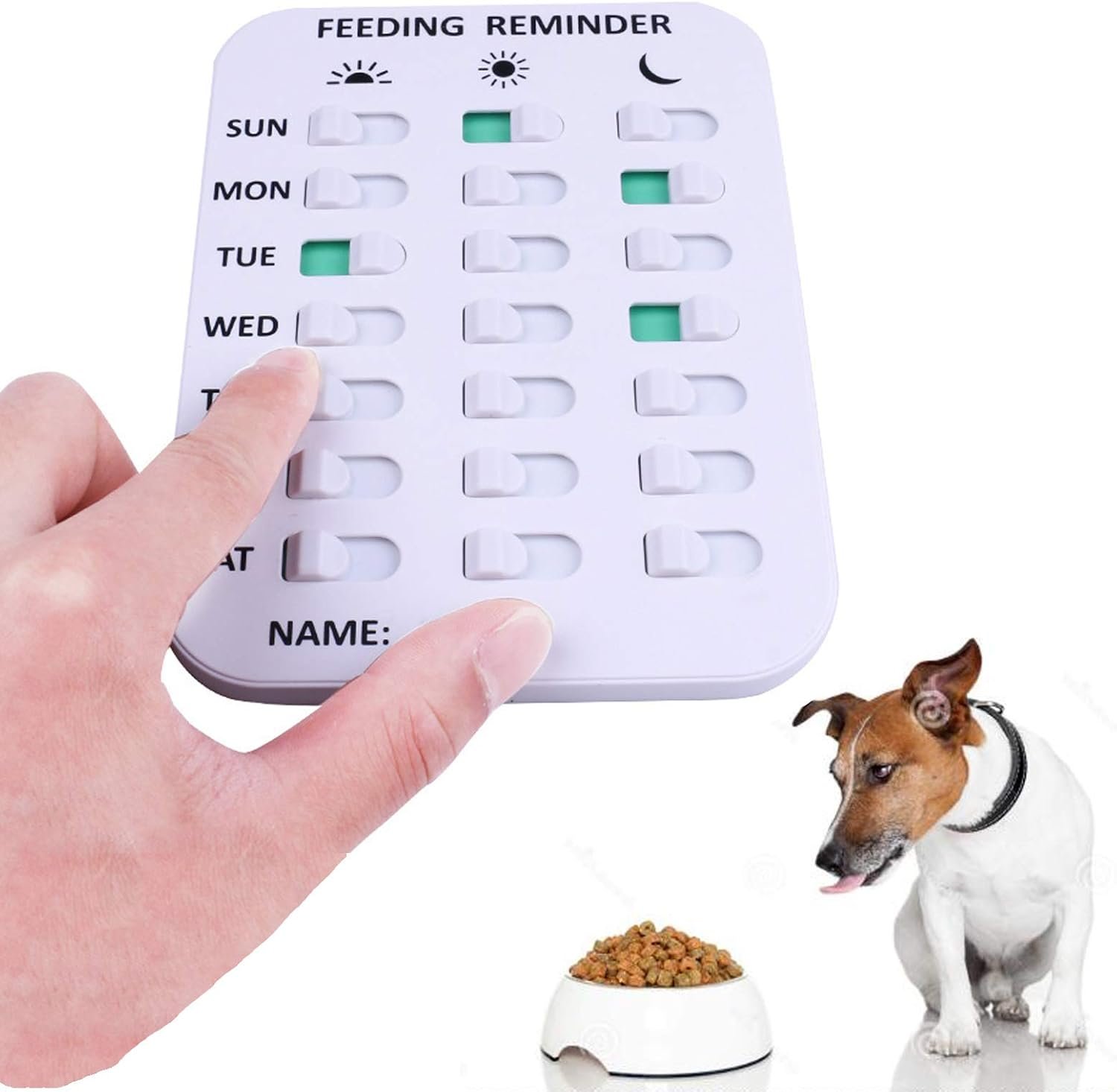 wholesale pet feeding reminder for dogs cats - magnetic sticker 3 times a day indication chart feed your pets, magnets and double sided tape, did you feed your dog cat fish kid? factory & supplier oem