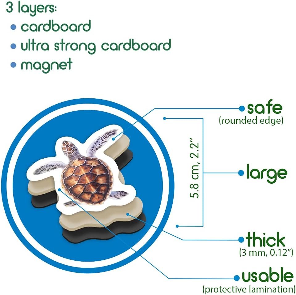 wholesale fridge magnets for toddlers - 30 sea photo kids magnets for fridge - toddler magnets for refrigerator - magnetic animals - fridge magnets for kids - animal magnets - toddler fridge magnets factory & supplier oem