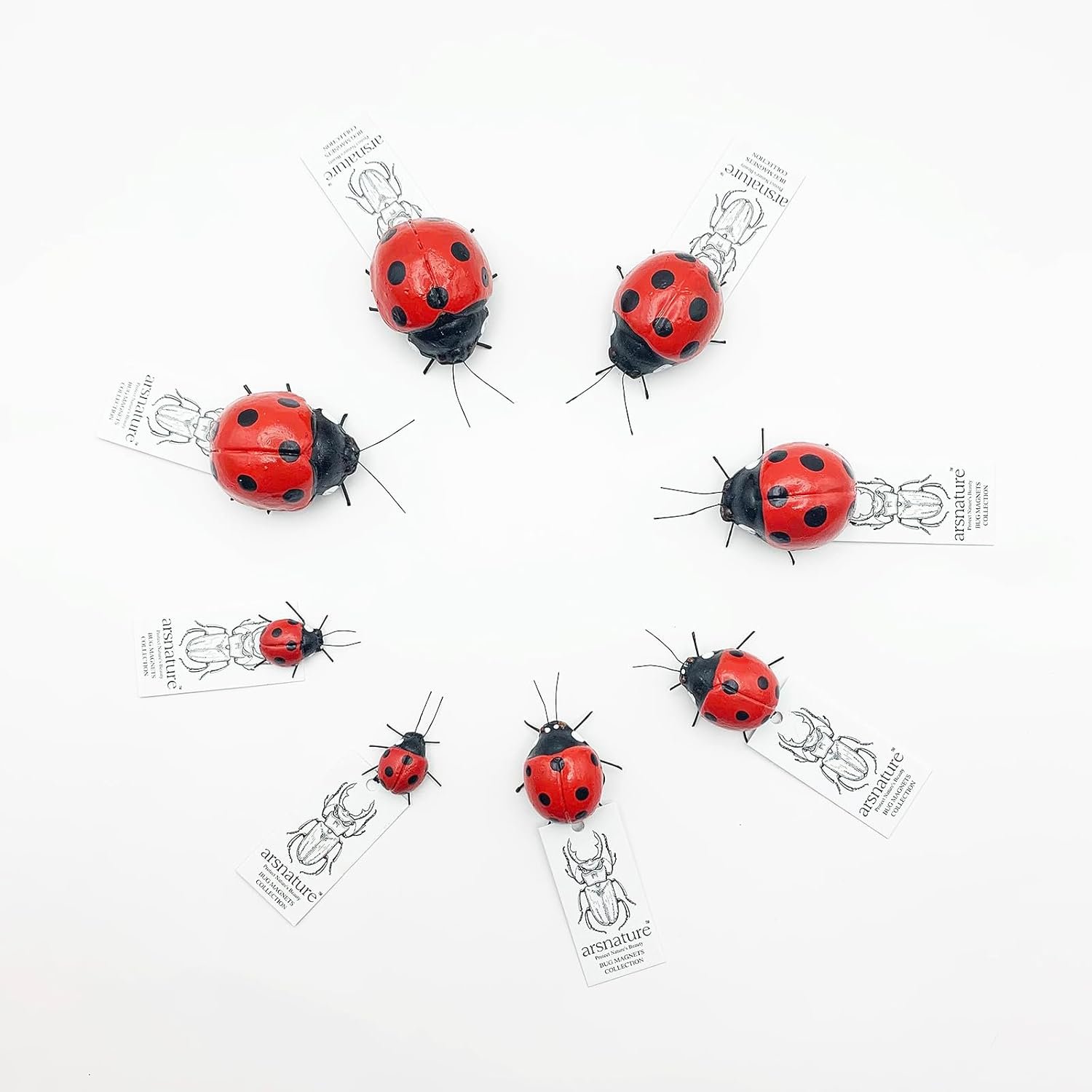 wholesale arsnature 8pcs realistic ladybugs refrigerator magnet - magnetic ladybugs for fridge & garden - cute magnet for home, kitchen, office, whiteboard factory & supplier oem