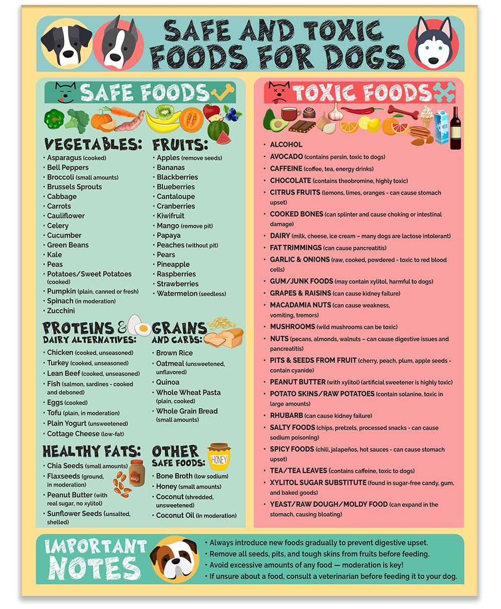 wholesale magnetic 8.5x11 safe and toxic foods for dogs magnet – pet safety chart and canine nutrition guide, waterproof & humidity- (pack of 1) factory & supplier oem
