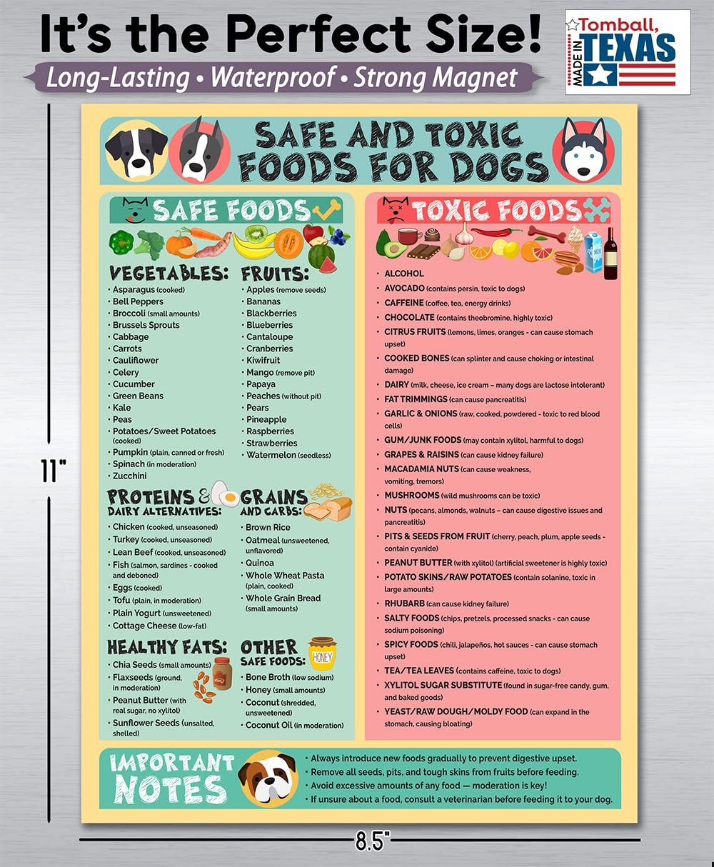 wholesale magnetic 8.5x11 safe and toxic foods for dogs magnet – pet safety chart and canine nutrition guide, waterproof & humidity- (pack of 1) factory & supplier oem