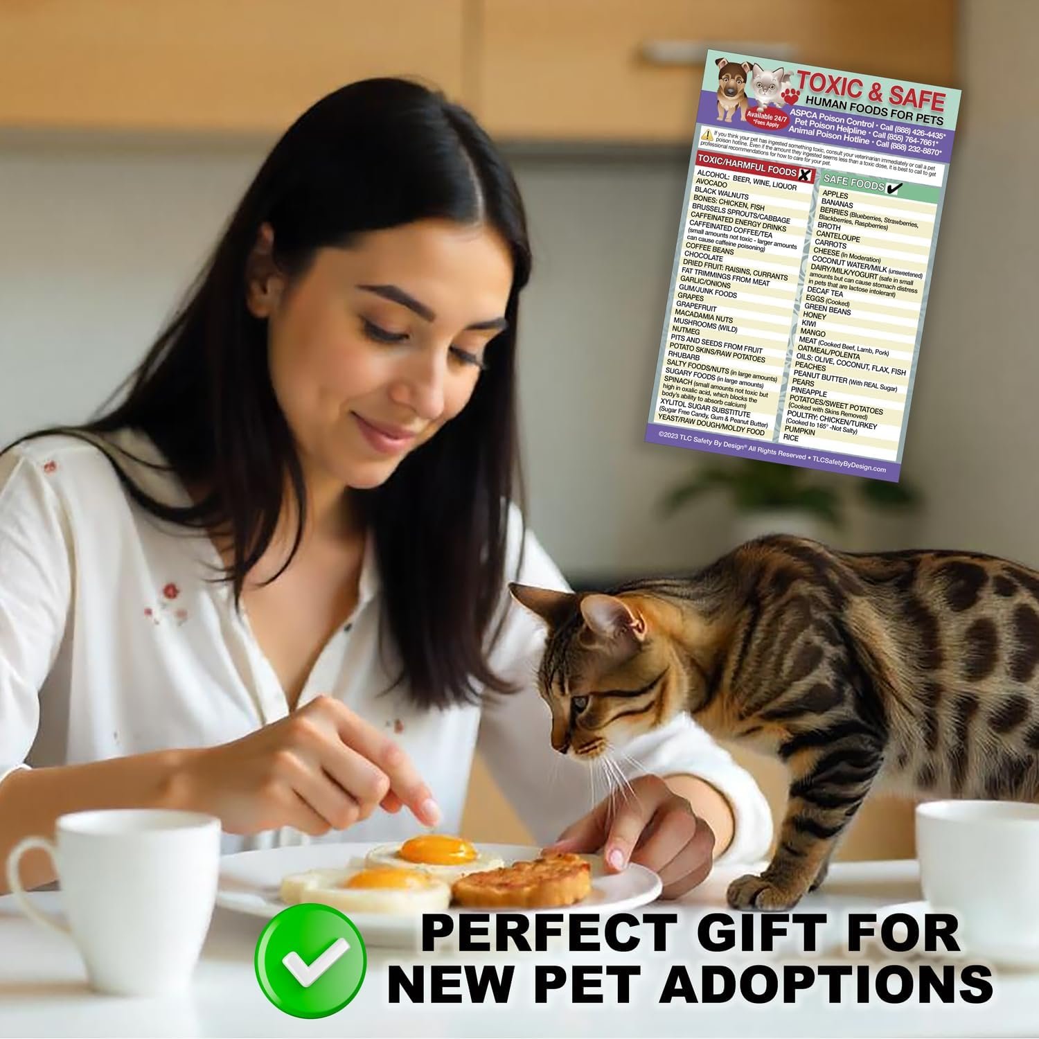 wholesale magnetic list toxic safe harmful foods for pets - dog cat feeding chart - people food dogs cats should not eat - chart decorative magnets - pet safety - pet adoption essentials gift 5.5 x 8.5 inches factory & supplier oem