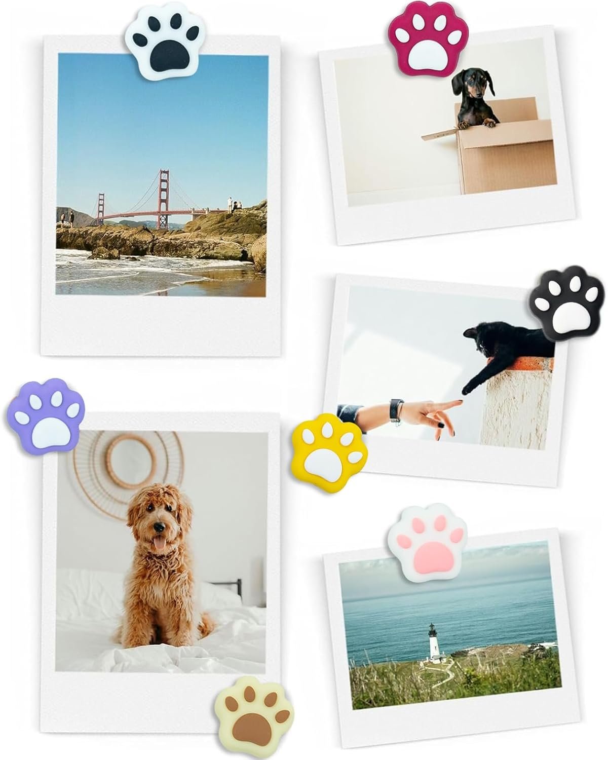 wholesale 20pcs paw print magnets fridge magnets cute refrigerator magnets decorative magnet set for locker accessories whiteboard, classroom decor, kitchen,cabinet and office decor (cat paw) factory & supplier oem