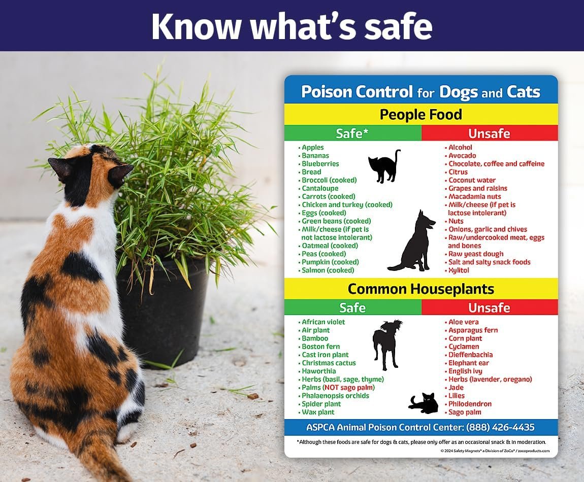 wholesale safe and toxic foods and plants for dogs and cats fridge magnet — 5