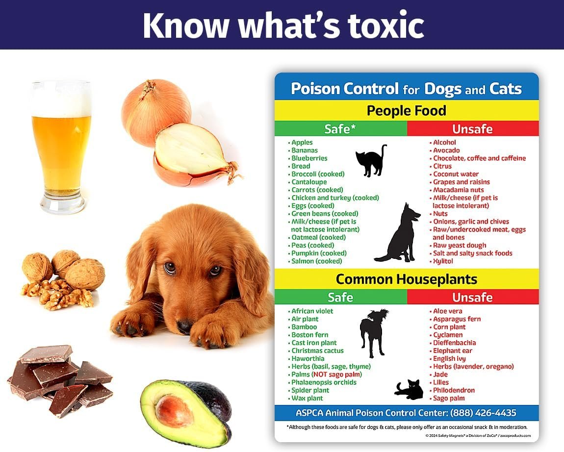 wholesale safe and toxic foods and plants for dogs and cats fridge magnet — 5