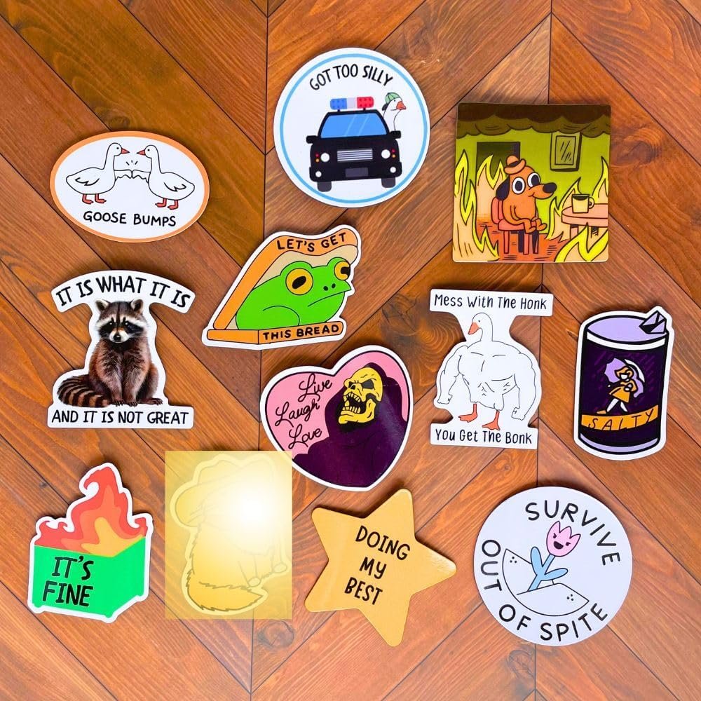 wholesale yj premiums 12pc funny fridge magnets cute fun sassy quirky novelty magnet for adults car desk kitchen meme this is fine dumpster dog live laugh love howdy silly goose bumps raccoon accessories gifts factory & supplier oem