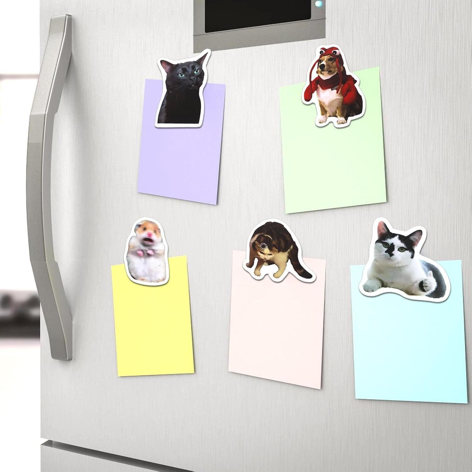 wholesale 20pcs funny meme fridge magnets, cute weird magnetic magnetic stickers decor refrigerator, humorous cat dog hamster magnets for kitchen home office cabinets school locker decor factory & supplier oem