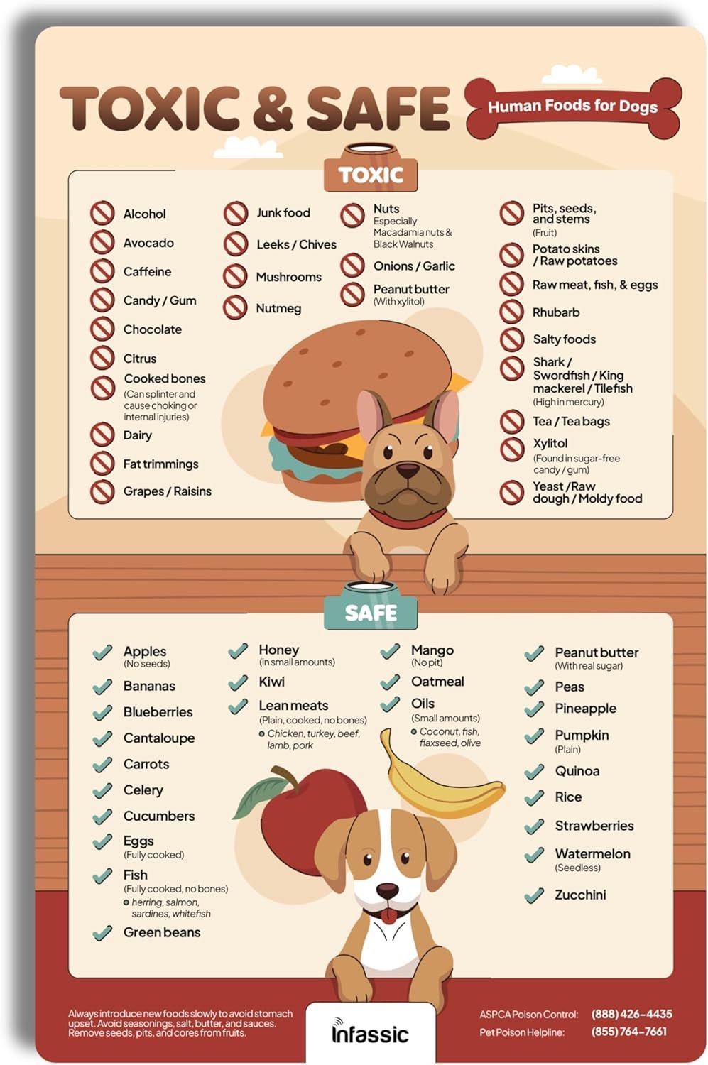 wholesale food dogs shouldn’t eat magnet | list of toxic and safe food for dogs chart | food canines can & cannot eat magnetic cheat sheet | can my pet consume this | harmful human food for pets - 5.5” x 8.5” factory & supplier oem