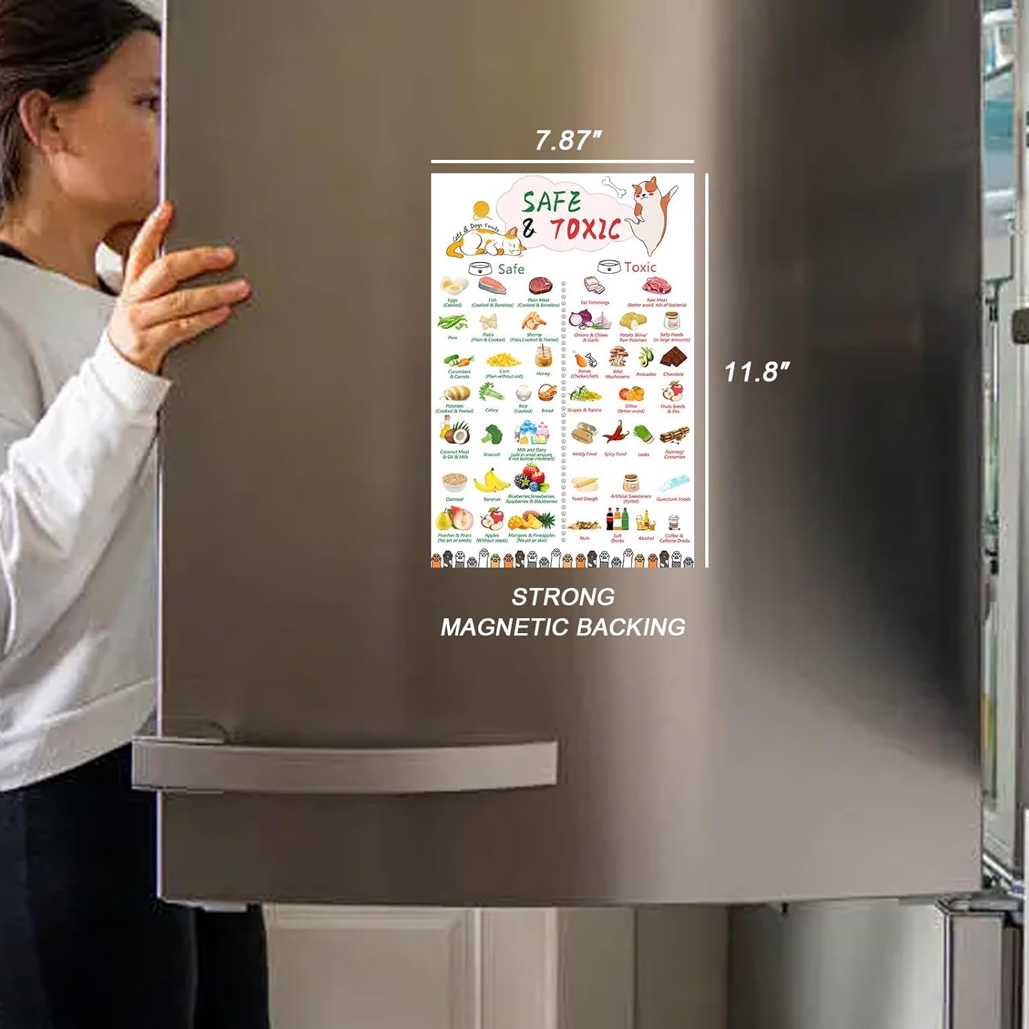 wholesale magnetic safe foods guide for dogs and cats,dog feeding chart fridge magnet,foods dogs shouldnt eat chart decorative magnets,dog safety emergency numbers magnet-11.8
