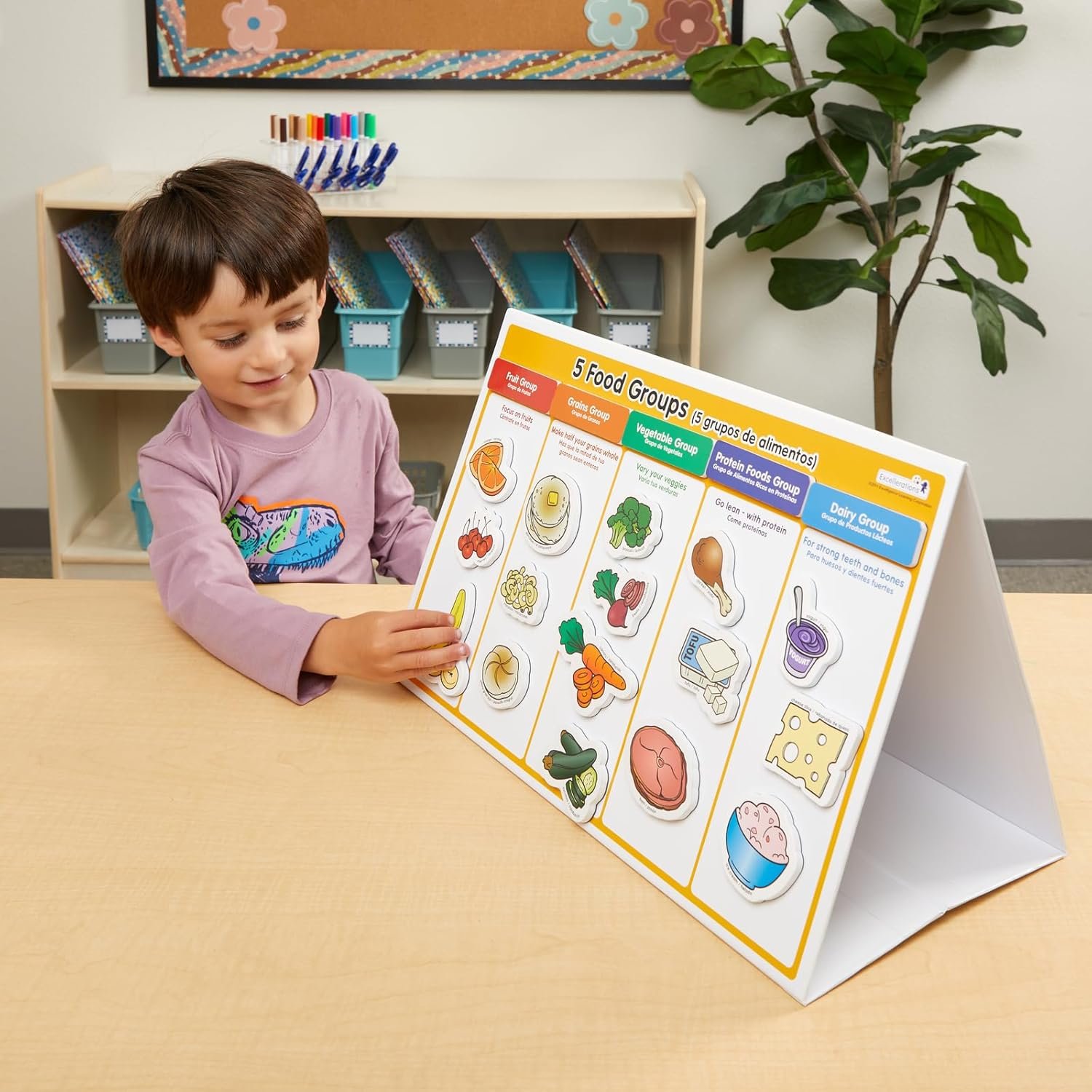 wholesale excellerations my healthy plate magnet nutrition and food activity set for kids pack of 4 factory & supplier oem
