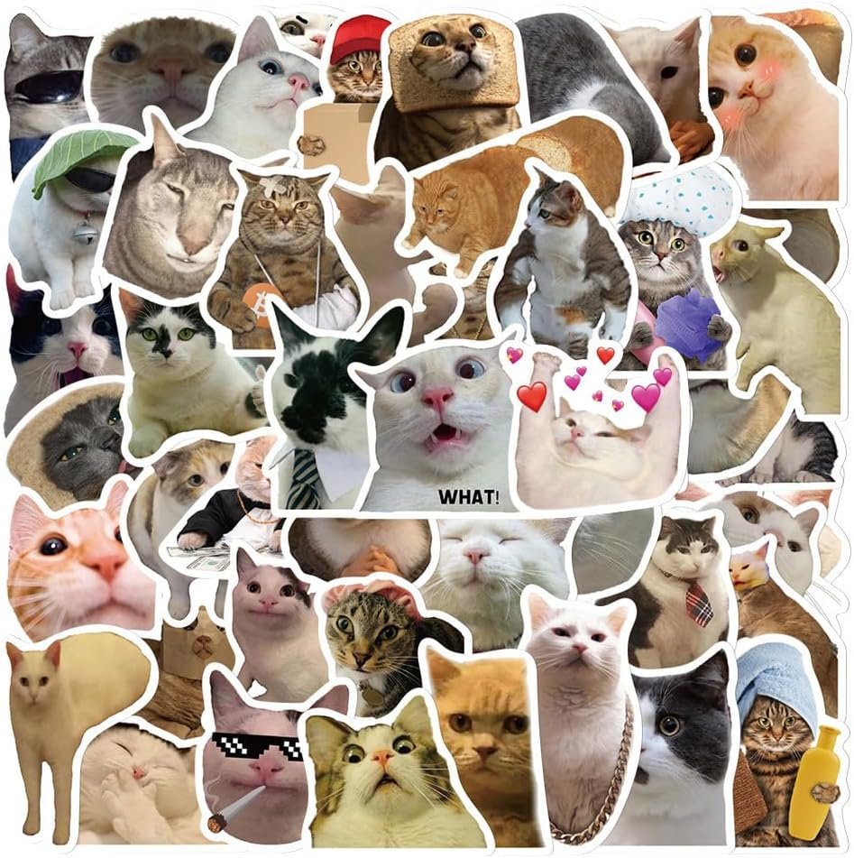 wholesale lovely funny fridge magnets cat meme fasteners on home& kitchen; applicable on refrigerator, car, office cabinets, dishwasher and whiteboard the most interesting birthday gift (13 pieces) factory & supplier oem