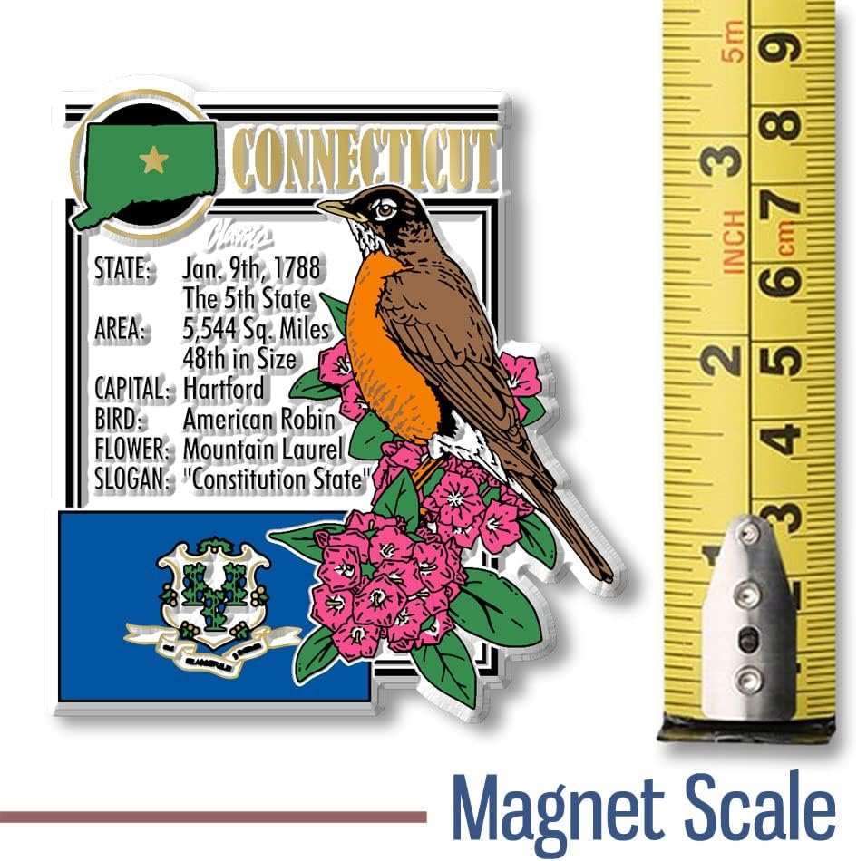 wholesale connecticut state montage magnet by classic magnets, 2.9