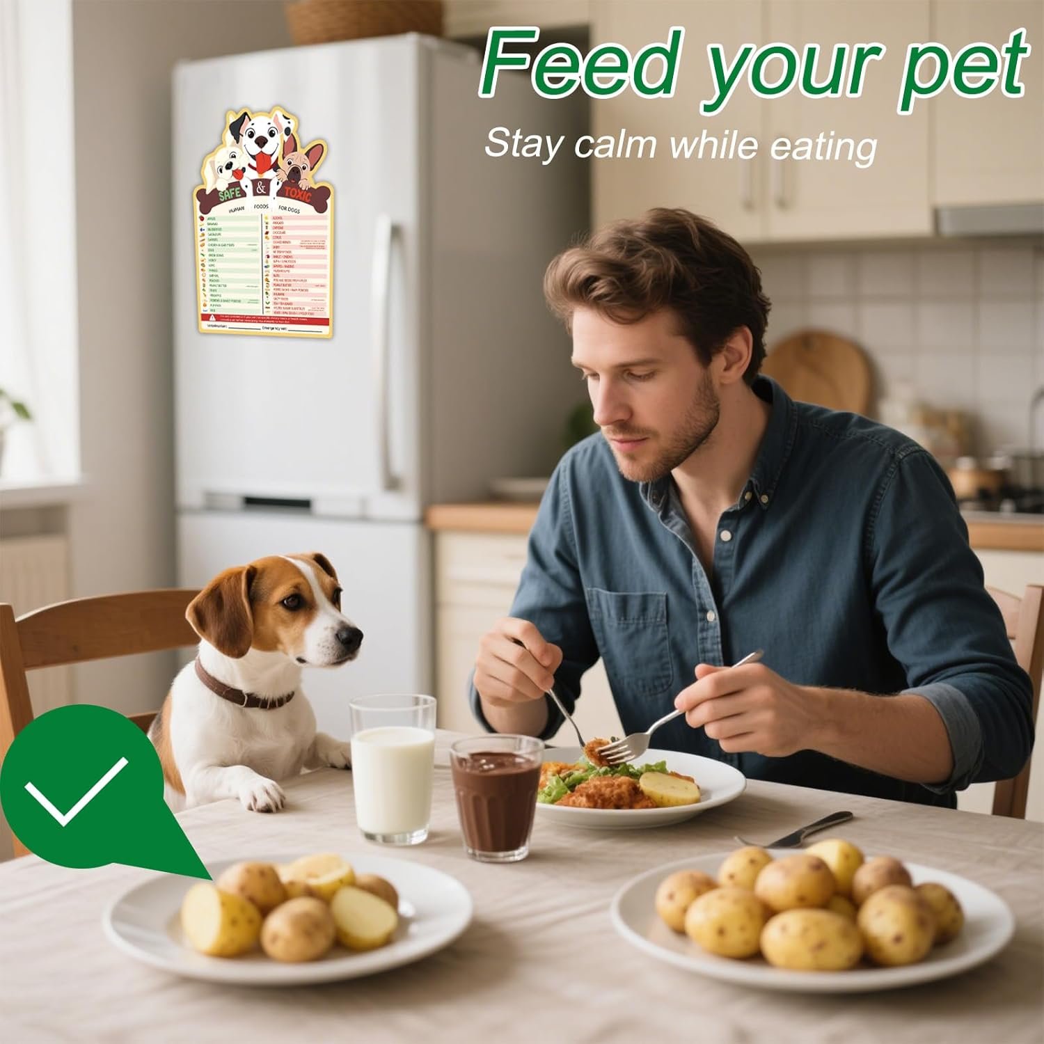wholesale dog feeding chart fridge magnet, food dogs can or can’t eat 9.75x6.75in feeding sign safe food chart nutrition guide for pet new puppy essentials factory & supplier oem