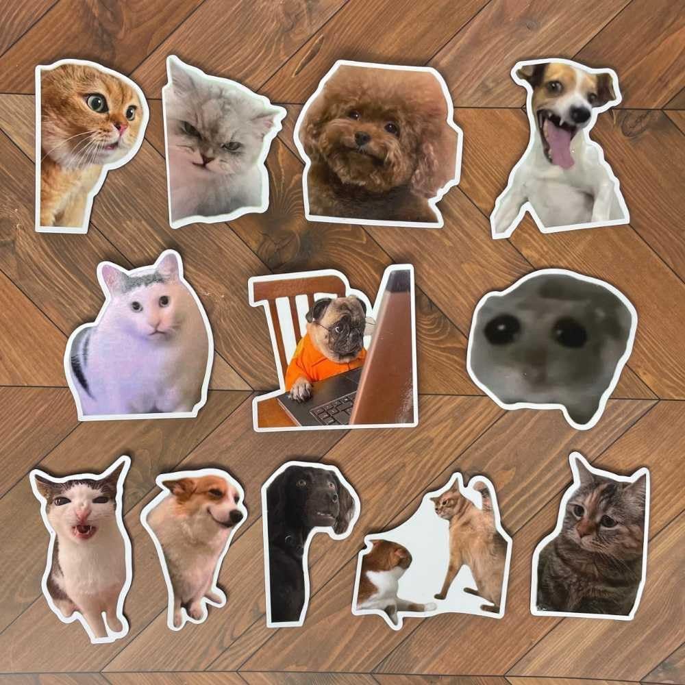 wholesale yj premiums 12pc funny magnets meme animal magnetic magnet for refrigerator fridge adults work school locker office car bumper decal game r kitchen cute cool weird fun novelty funky gag quirky gifts factory & supplier oem