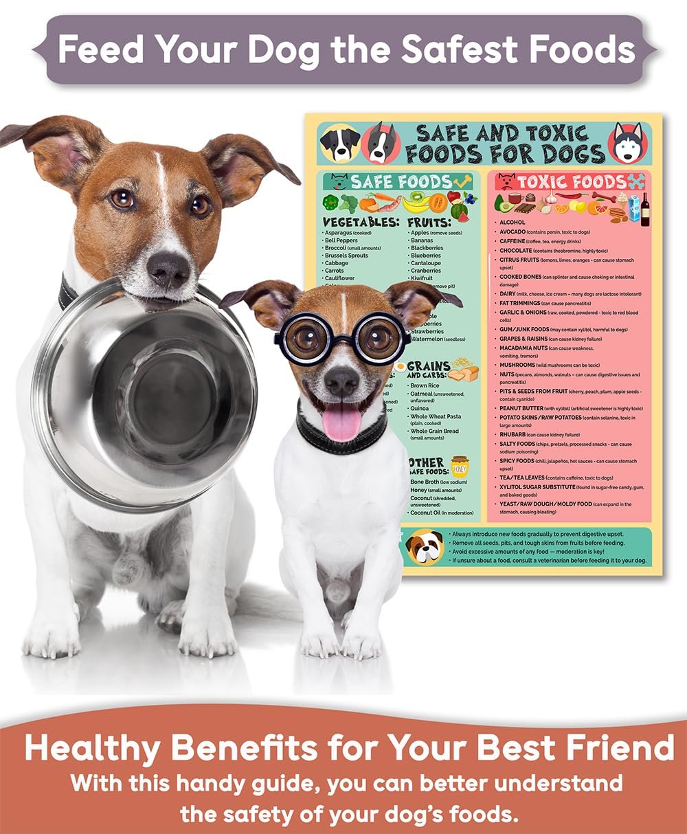 wholesale magnetic 8.5x11 safe and toxic foods for dogs magnet – pet safety chart and canine nutrition guide, waterproof & humidity- (pack of 1) factory & supplier oem