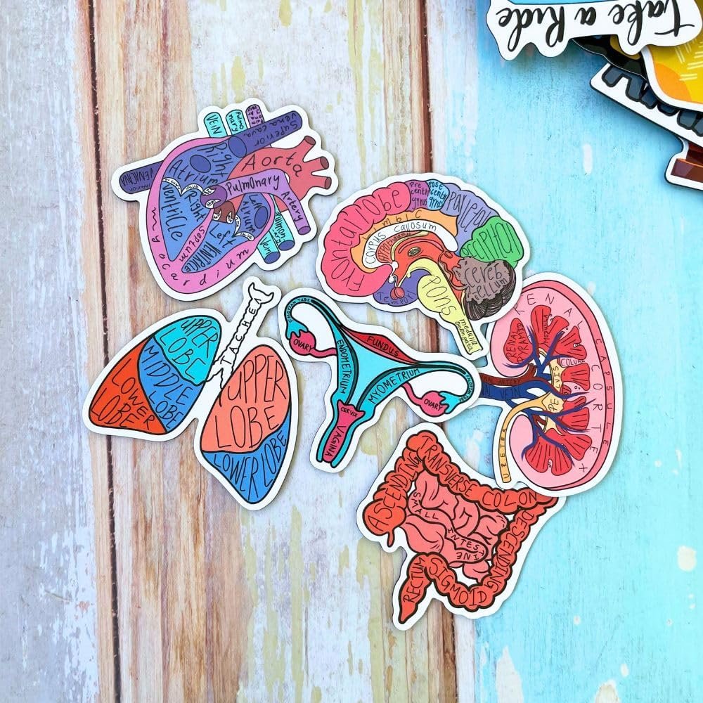 wholesale 30pc nurse magnets funny magnetic magnet for refrigerator fridge locker decal fun cool cute anatomy drug medical assistant hospital work office nursing school week graduation gifts bulk accessories factory & supplier oem