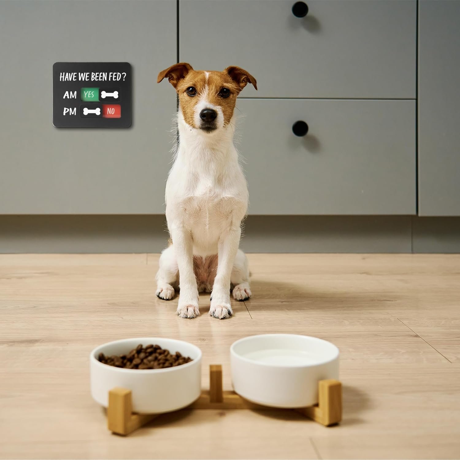 wholesale dog feeding reminder sign with magnet, pet feeding tracker with have we been fed, acrylic slider sign for fridge, am pm feed chart sign with yes no option, black with 2 stickers, 4.7